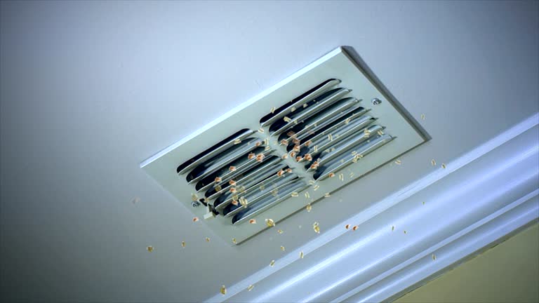 Best Affordable HVAC Duct Cleaning  in Brownfield, TX